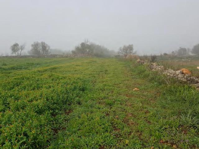 Agricoli in vendita