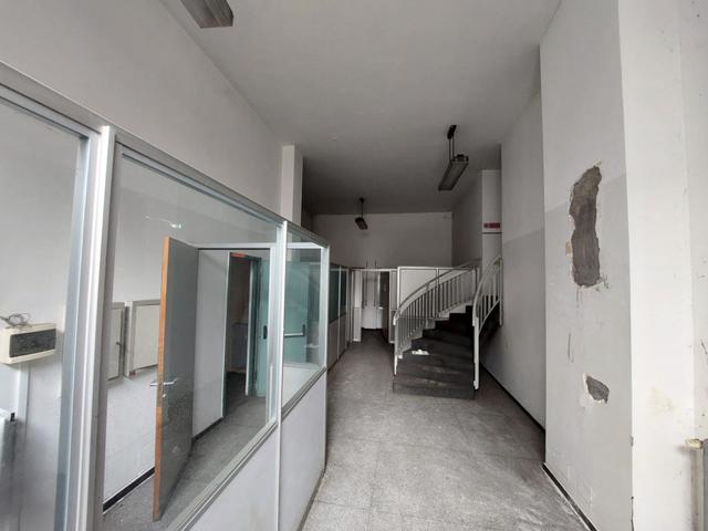 Grandi dimensioni in vendita