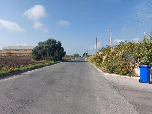 #25320 Cessione di azienda dedita al commercio di prodotti ortofrutticoli in vendita - foto 16