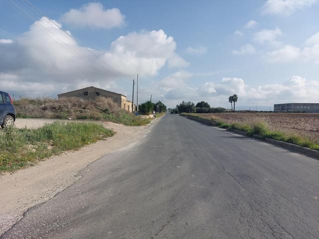 #25320 Cessione di azienda dedita al commercio di prodotti ortofrutticoli in vendita - foto 28