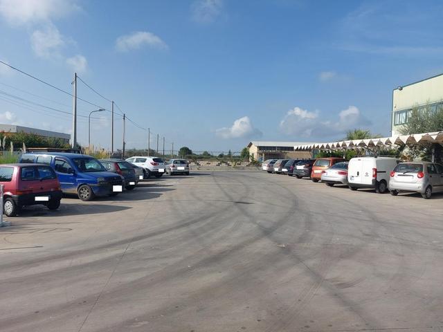 #25320 Cessione di azienda dedita al commercio di prodotti ortofrutticoli in vendita - foto 27