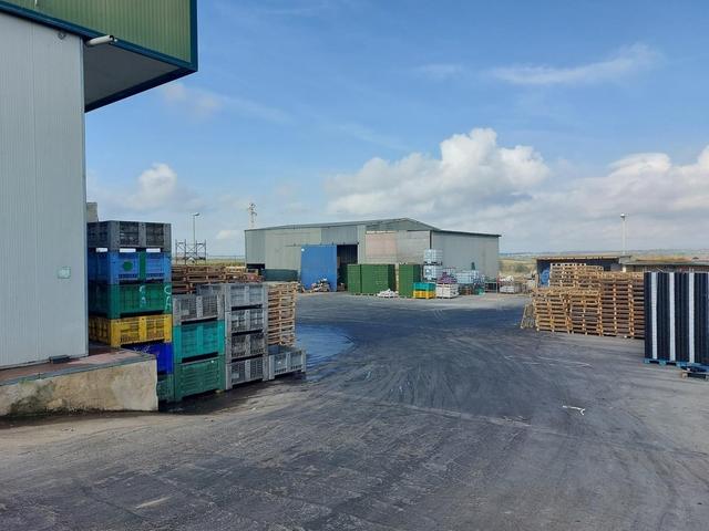 #25320 Cessione di azienda dedita al commercio di prodotti ortofrutticoli in vendita - foto 25