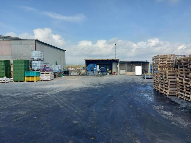 #25320 Cessione di azienda dedita al commercio di prodotti ortofrutticoli in vendita - foto 24