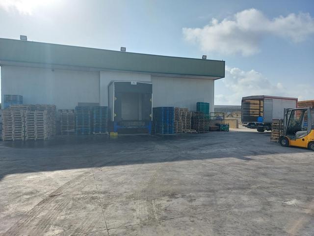 #25320 Cessione di azienda dedita al commercio di prodotti ortofrutticoli in vendita - foto 23