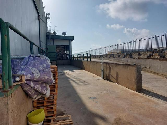 #25320 Cessione di azienda dedita al commercio di prodotti ortofrutticoli in vendita - foto 22