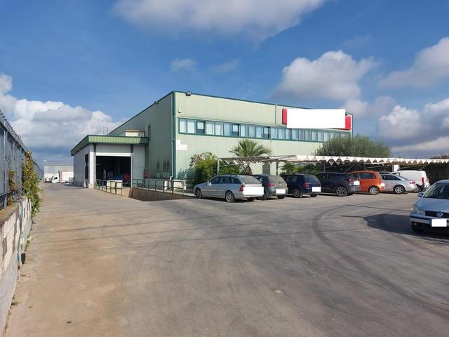 #25320 Cessione di azienda dedita al commercio di prodotti ortofrutticoli in vendita - foto 19