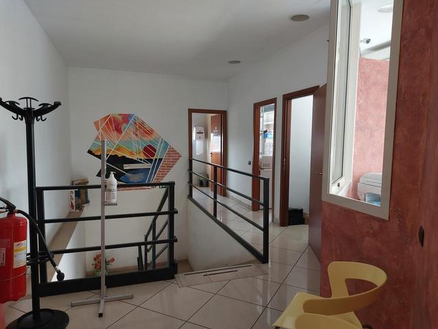 #25320 Cessione di azienda dedita al commercio di prodotti ortofrutticoli in vendita - foto 12