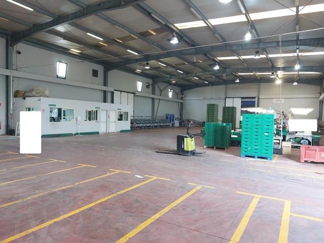 #25320 Cessione di azienda dedita al commercio di prodotti ortofrutticoli in vendita - foto 11