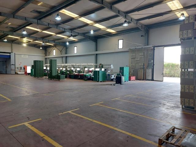 #25320 Cessione di azienda dedita al commercio di prodotti ortofrutticoli in vendita - foto 10