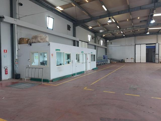 #25320 Cessione di azienda dedita al commercio di prodotti ortofrutticoli in vendita - foto 9