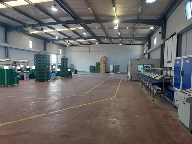 #25320 Cessione di azienda dedita al commercio di prodotti ortofrutticoli in vendita - foto 8