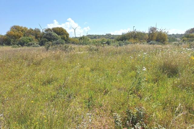 #2638907 Terreno edificabile in comparto produttivo in vendita - foto 7