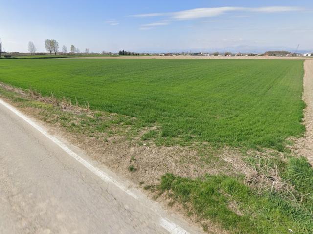#2638748 Terreni agricoli di 29.104 mq in vendita - foto 4