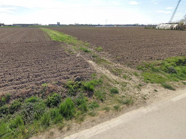 #2638748 Terreni agricoli di 29.104 mq in vendita - foto 5
