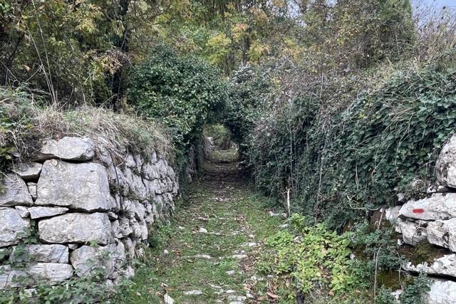 Agricoli in vendita