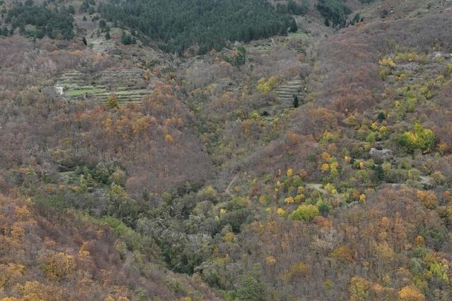 Agricoli in vendita