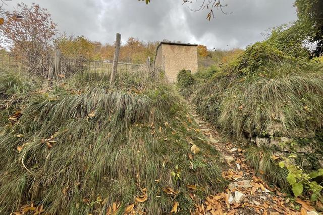 Agricoli in vendita