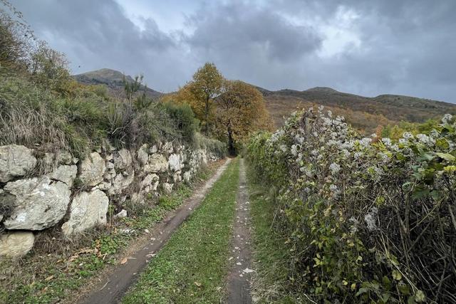Agricoli in vendita
