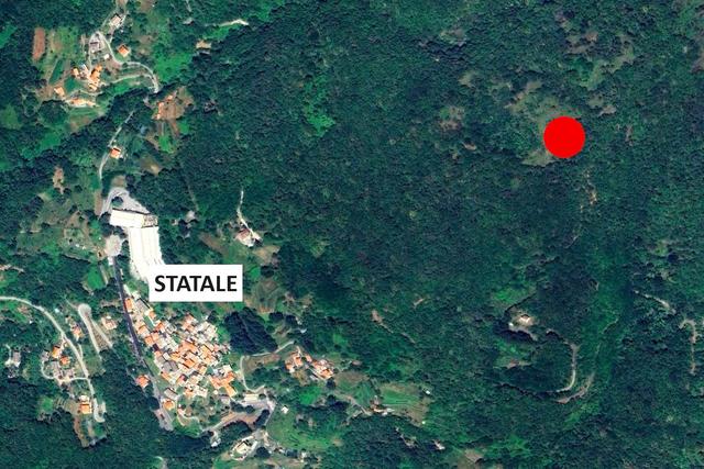 #23432 Appezzamento di terreno montano di 750 mq in vendita - foto 10