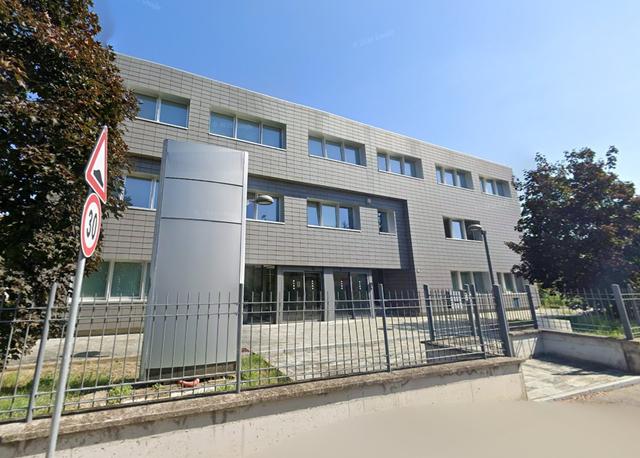 Grandi dimensioni in vendita