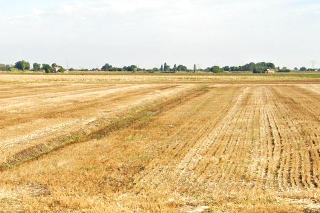 #2639194 Appezzamento agricolo e ruderi collabenti in vendita - foto 1