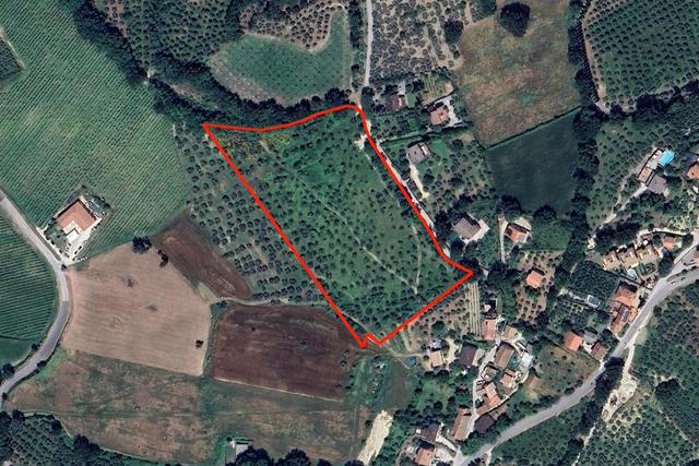 #22555 Terreni edificabili e non di complessivi 25.990 mq in vendita - foto 1