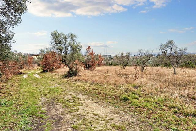 #22555 Terreni edificabili e non di complessivi 25.990 mq in vendita - foto 9