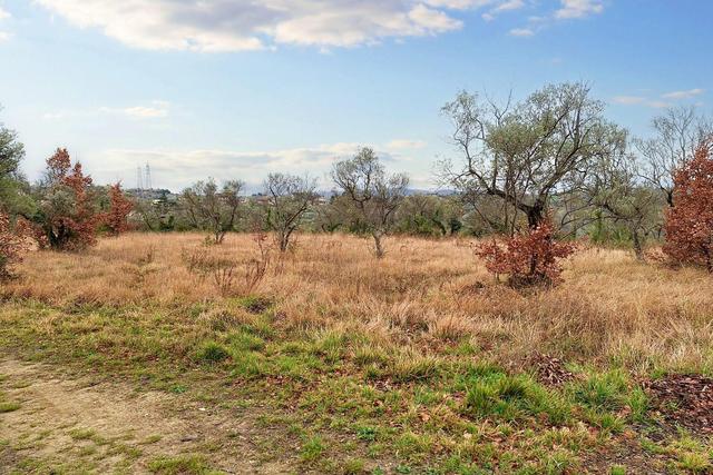 #22555 Terreni edificabili e non di complessivi 25.990 mq in vendita - foto 10