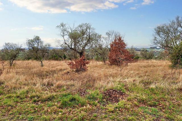 #22555 Terreni edificabili e non di complessivi 25.990 mq in vendita - foto 11