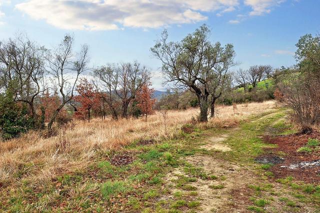 #22555 Terreni edificabili e non di complessivi 25.990 mq in vendita - foto 13