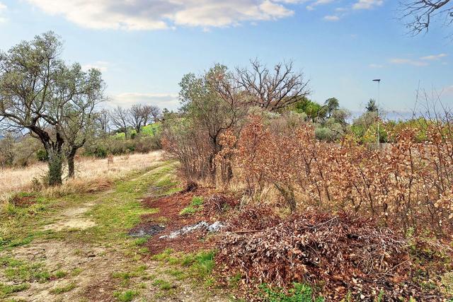 #22555 Terreni edificabili e non di complessivi 25.990 mq in vendita - foto 14