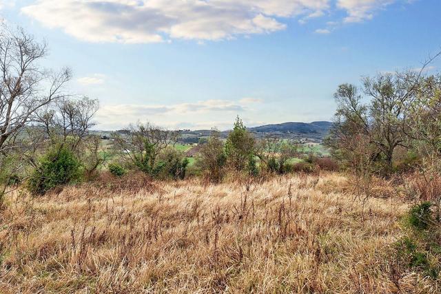 #22555 Terreni edificabili e non di complessivi 25.990 mq in vendita - foto 3