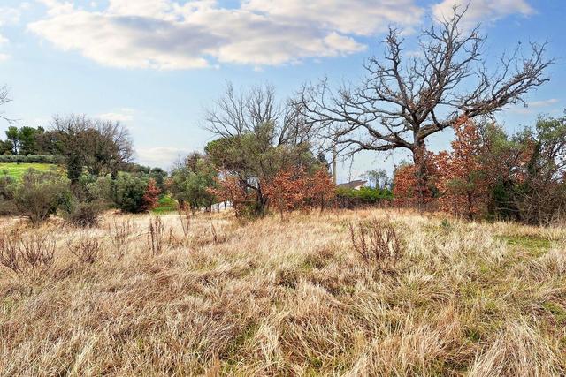 #22555 Terreni edificabili e non di complessivi 25.990 mq in vendita - foto 12