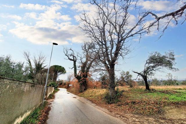 #22555 Terreni edificabili e non di complessivi 25.990 mq in vendita - foto 6