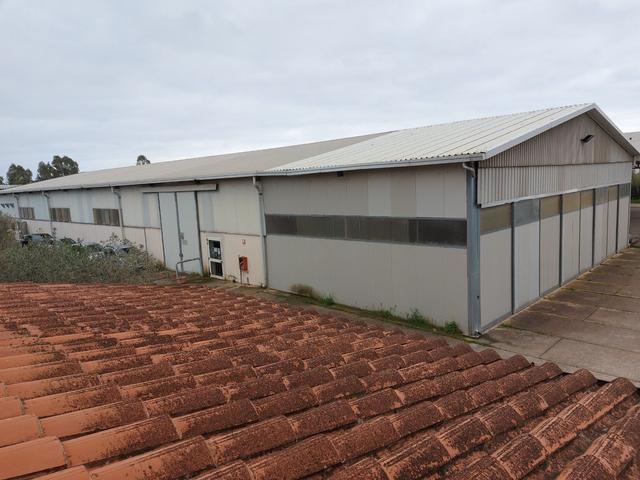 #2536973 Cessione del compendio aziendale dedito alle attività nel settore dei prodotti ortofrutticoli in vendita - foto 18