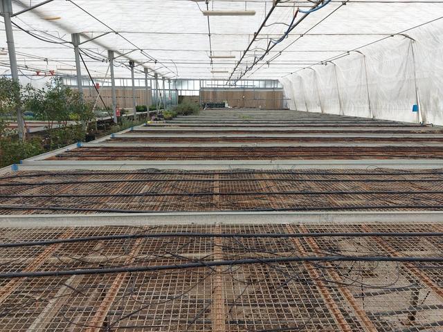 #2536973 Cessione del compendio aziendale dedito alle attività nel settore dei prodotti ortofrutticoli in vendita - foto 27