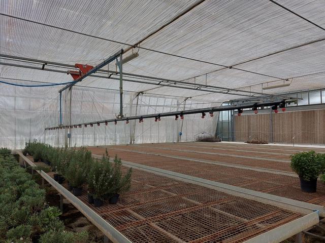 #2536973 Cessione del compendio aziendale dedito alle attività nel settore dei prodotti ortofrutticoli in vendita - foto 29