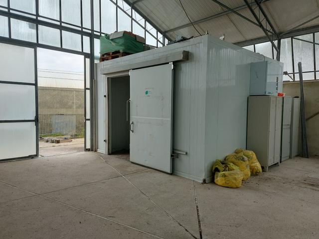 #2536973 Cessione del compendio aziendale dedito alle attività nel settore dei prodotti ortofrutticoli in vendita - foto 31