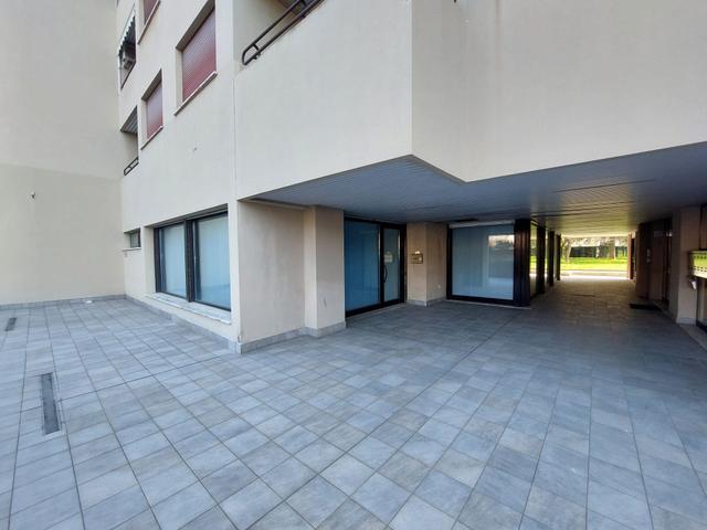 Grandi dimensioni in vendita