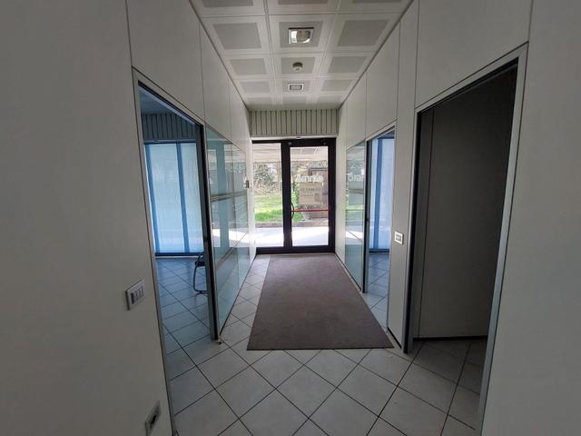 Grandi dimensioni in vendita