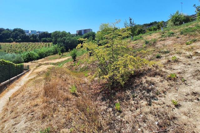 Agricoli in vendita