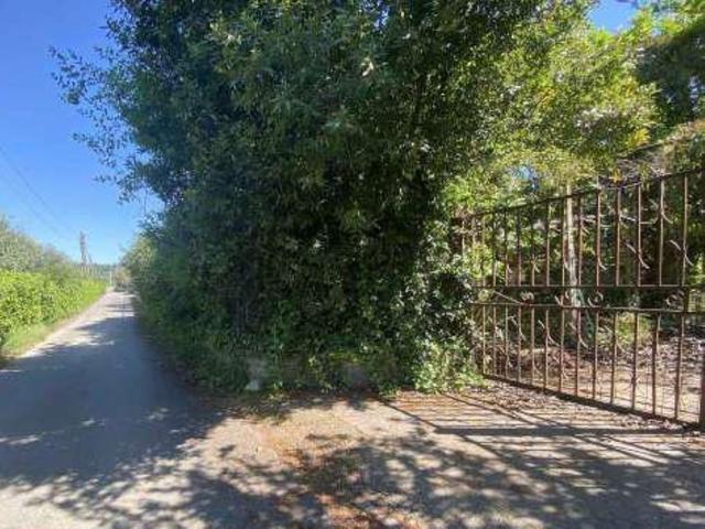 Appartamenti in vendita