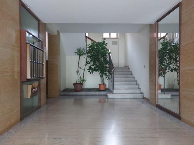 Grandi dimensioni in vendita