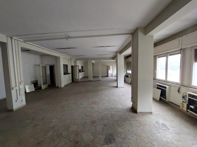 Grandi dimensioni in vendita