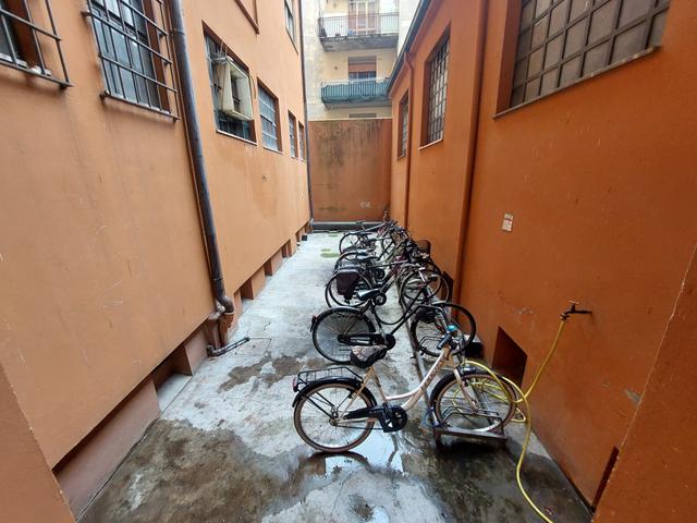 Grandi dimensioni in vendita