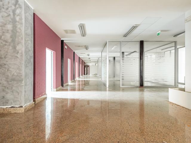 Grandi dimensioni in vendita