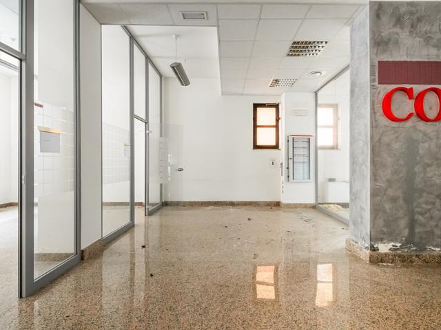 Grandi dimensioni in vendita