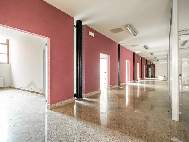 Grandi dimensioni in vendita