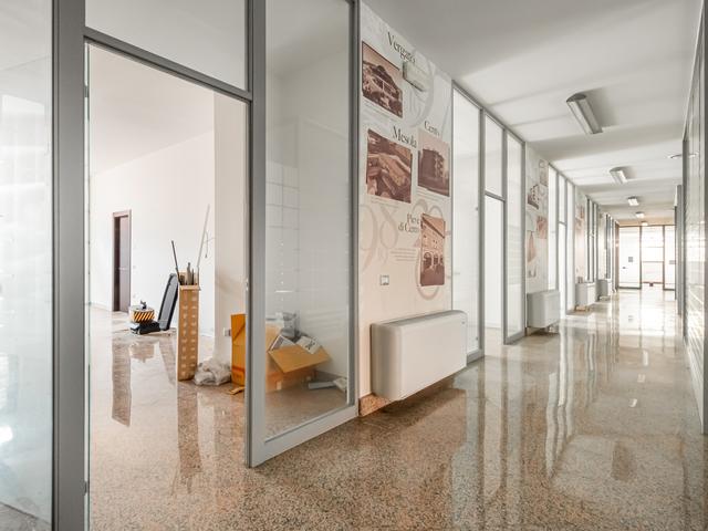 Grandi dimensioni in vendita