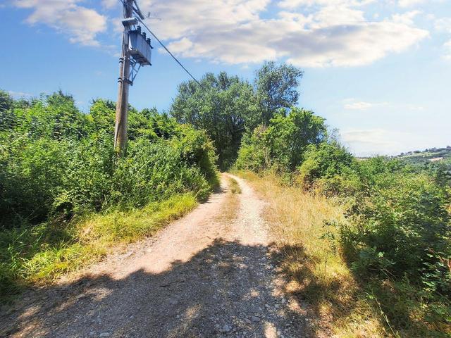 Agricoli in vendita
